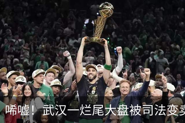 唏嘘！武汉一烂尾大盘被司法变卖！