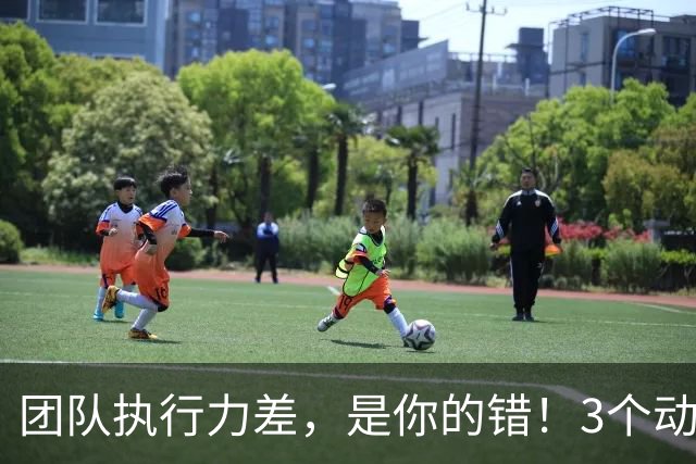 团队执行力差，是你的错！3个动作，把“散兵游勇”练成你的“左膀右臂”