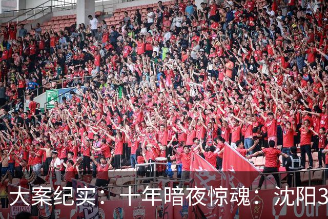 大案纪实：十年暗夜惊魂：沈阳3·8特大持枪连环杀人抢劫案