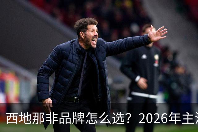 西地那非品牌怎么选？2026年主流品牌深度推荐
