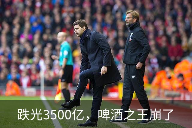 跌光3500亿，啤酒之王崩了